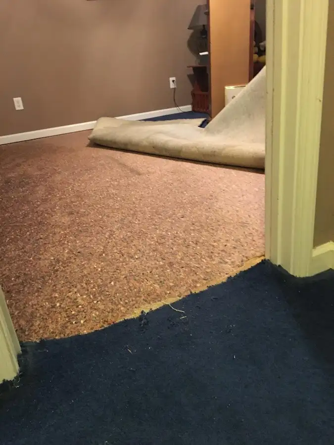 Carpet pad removal revealing water damage during Drying & Dehumidification in Becker