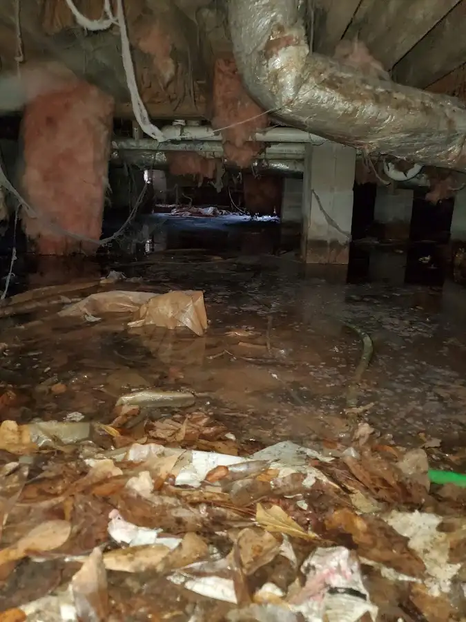 Crawl space flood assessment for Leak Detection & Repair in Becker